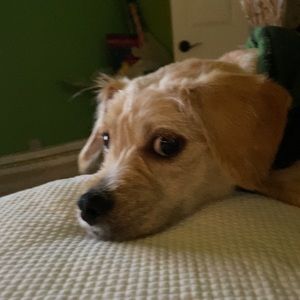 Meet your Posher, Kenny